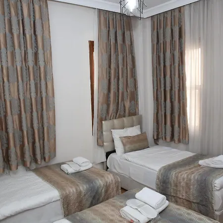 호텔 Rosalie Palace 3*