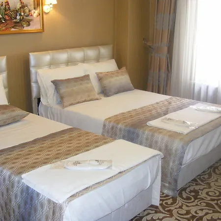 Rosalie Palace 호텔 3*